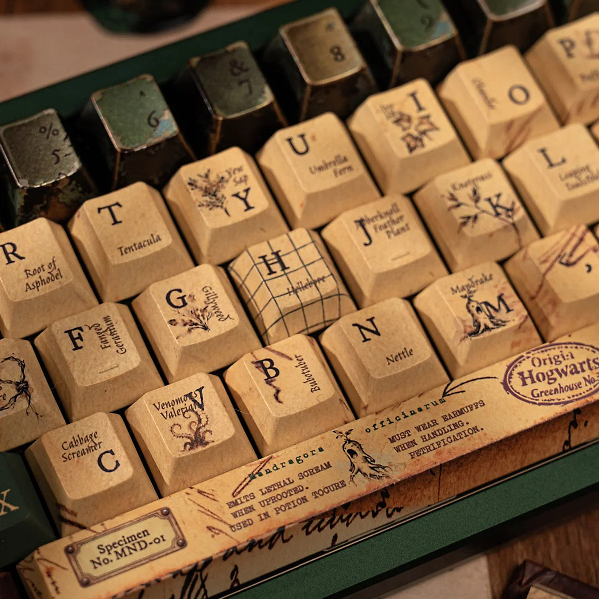 Herbology Magical themed keycaps